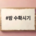 2026 밤 수확시기 한눈에 완벽 정리 밤 수확시기