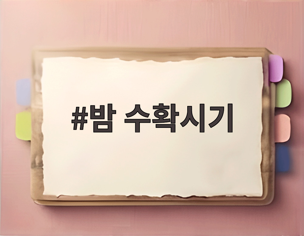 밤 수확시기