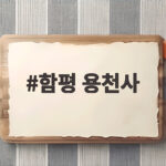 함평 용천사 꽃무릇 개화와 관람일정 함평 용천사
