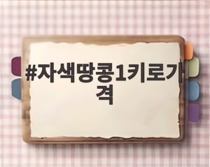 자색땅콩1키로가격