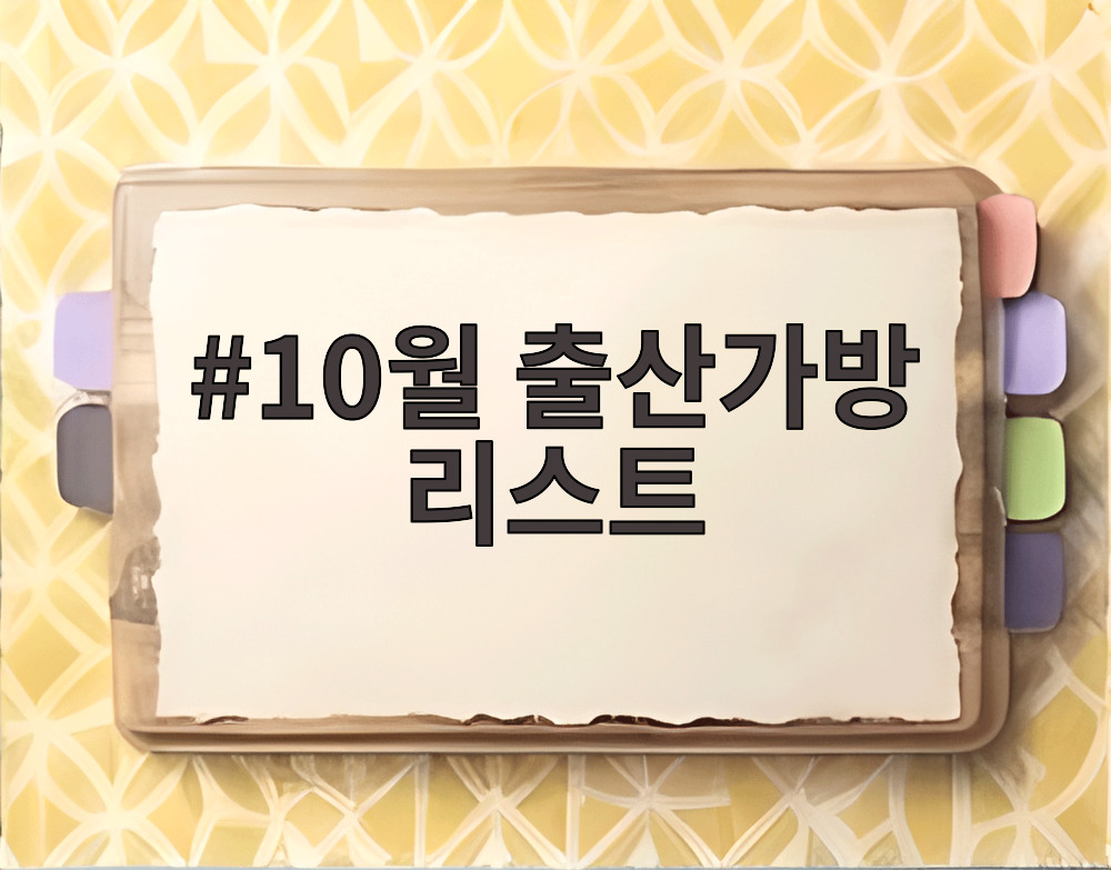 10월 출산가방 리스트