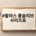팔라스 롱슬리브 사이즈표 총정리 팔라스 롱슬리브 사이즈표