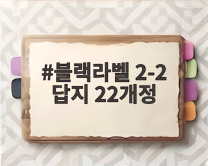 블랙라벨 2-2 답지 22개정