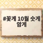 10월 꽃게 숫게 암게 제철 살 고르는 방법 꽃게 10월 숫게 암게