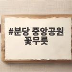 분당 중앙공원 꽃무릇 절정 시기 분당 중앙공원 꽃무릇