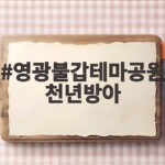 영광불갑테마공원 천년방아 가을 나들이 영광불갑테마공원 천년방아