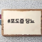 포도즙 당뇨 환자 혈당 관리 이렇게 포도즙 당뇨