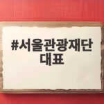 서울관광재단 대표 김병민 임명 3년 임기 시작 서울관광재단 대표