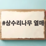 상수리나무 열매 도토리와 차이 알아보기 상수리나무 열매