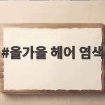 올가을 헤어 염색 브라운 컬러 추천과 관리 올가을 헤어 염색
