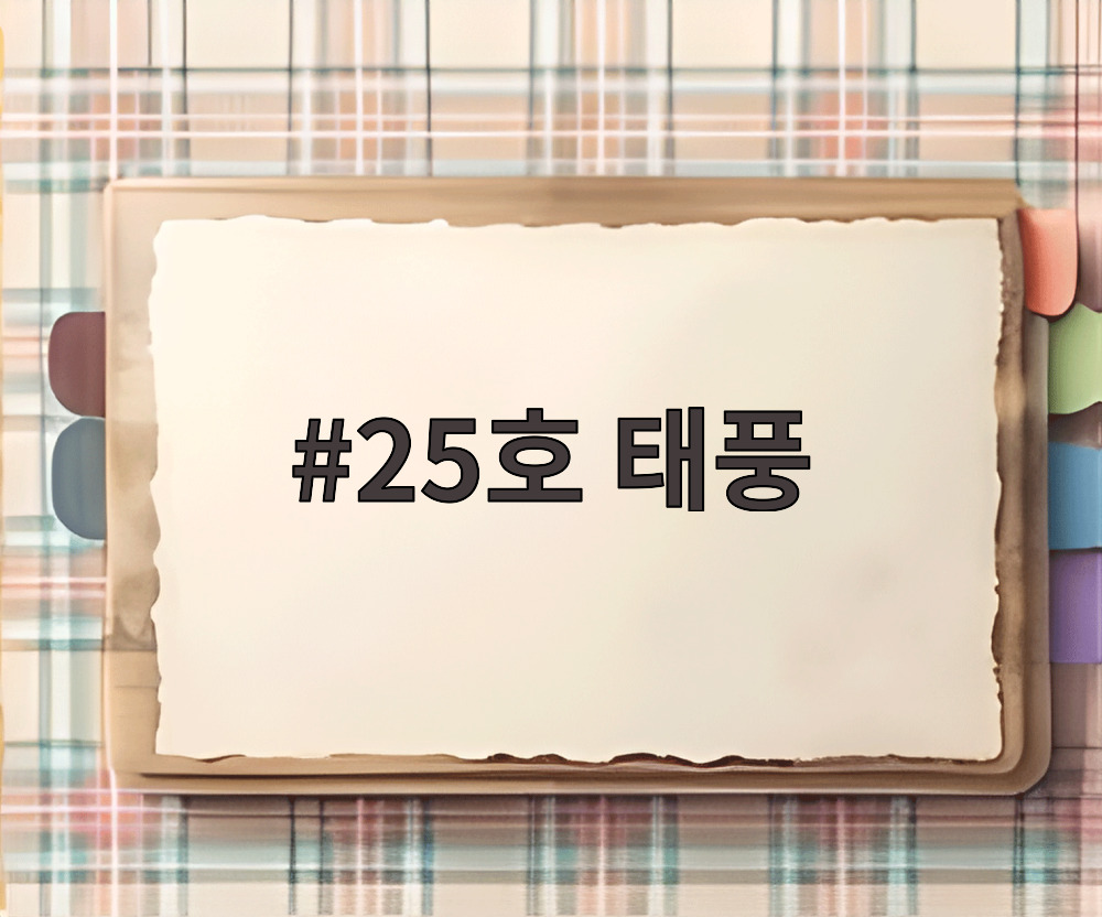 25호 태풍