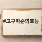 고구마순의효능 아삭한 여름 반찬의 비밀 고구마순의효능