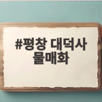 평창 대덕사 물매화 개화와 출사 팁 평창 대덕사 물매화