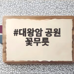 대왕암 공원 꽃무릇 9월 산책 일정 대왕암 공원 꽃무릇