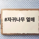 자귀나무 열매