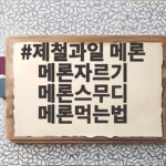 제철 메론 자르기와 스무디로 먹는 법 제철과일 메론 메론자르기 메론스무디 메론먹는법