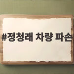 정청래 차량 파손 사건 50대 불구속 송치 정청래 차량 파손