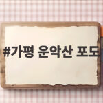 가평 운악산 포도 제철 구매 정보 가평 운악산 포도