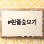 흰줄숲모기 가을철에도 활발한 이유와 물림 예방법 정리 흰줄숲모기