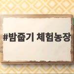 밤줍기 체험농장 추천과 준비물 밤줍기 체험농장