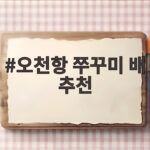 오천항 쭈꾸미 배 추천과 출조 준비 오천항 쭈꾸미 배 추천