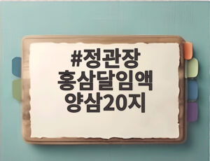 정관장 홍삼달임액 양삼20지