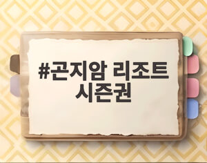 곤지암 리조트 시즌권