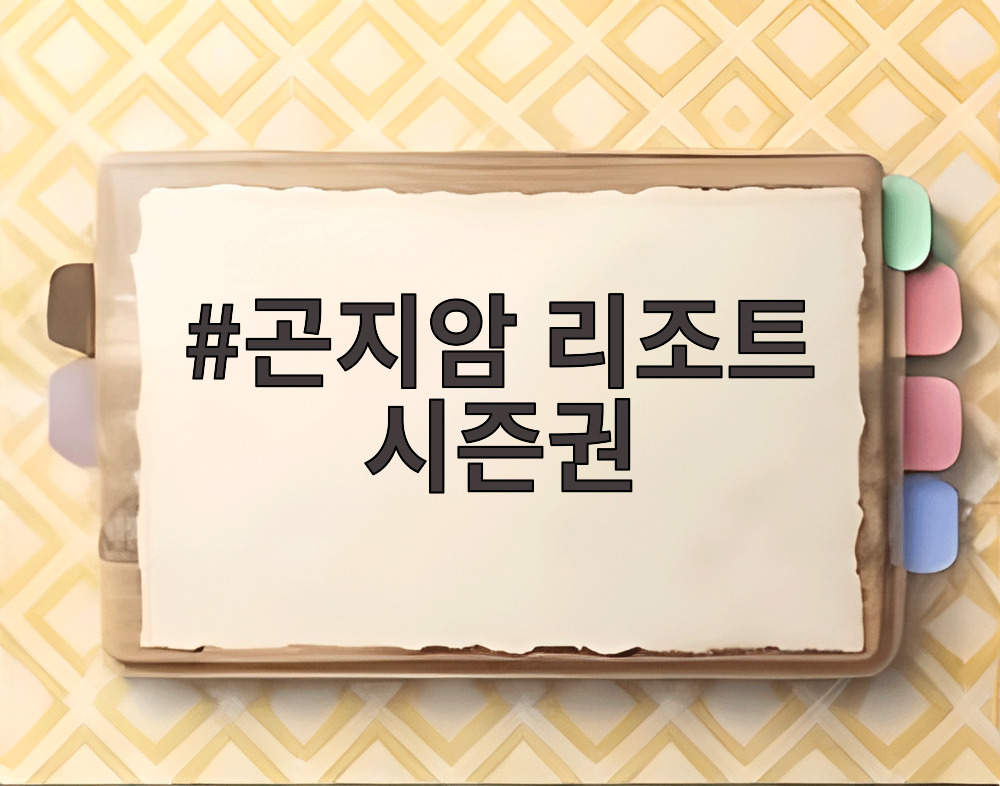 곤지암 리조트 시즌권