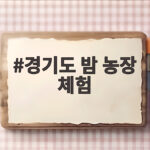 가을 경기도 밤농장 체험 준비 한눈에 경기도 밤 농장 체험