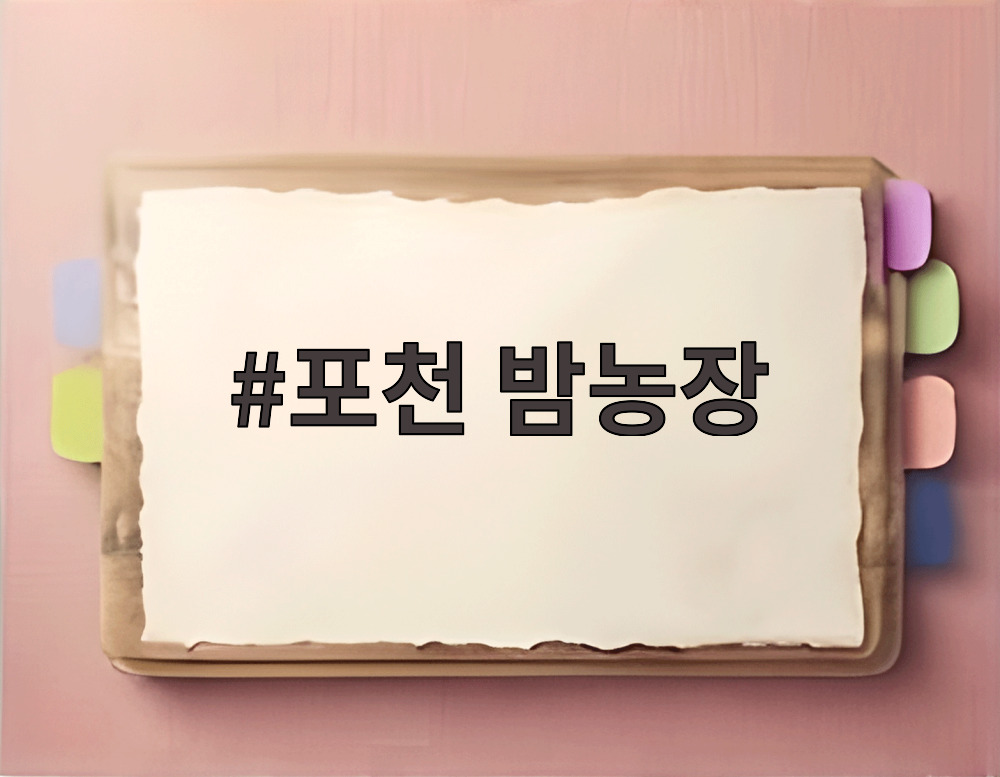 포천 밤농장