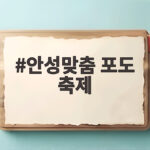 2026 안성맞춤 포도축제 일정과 즐길 거리 안성맞춤 포도 축제