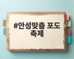 안성맞춤 포도 축제