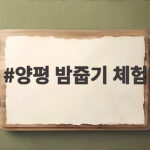 양평 밤줍기 체험 가격 예약 준비물 양평 밤줍기 체험