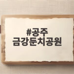 공주 금강둔치공원 가을 축제 즐기는 법 공주 금강둔치공원