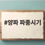 양파 파종시기 9월 씨앗 모종 관리 양파 파종시기