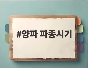 양파 파종시기