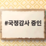 국정감사 증인 출석 의무와 법적 책임 국정감사 증인