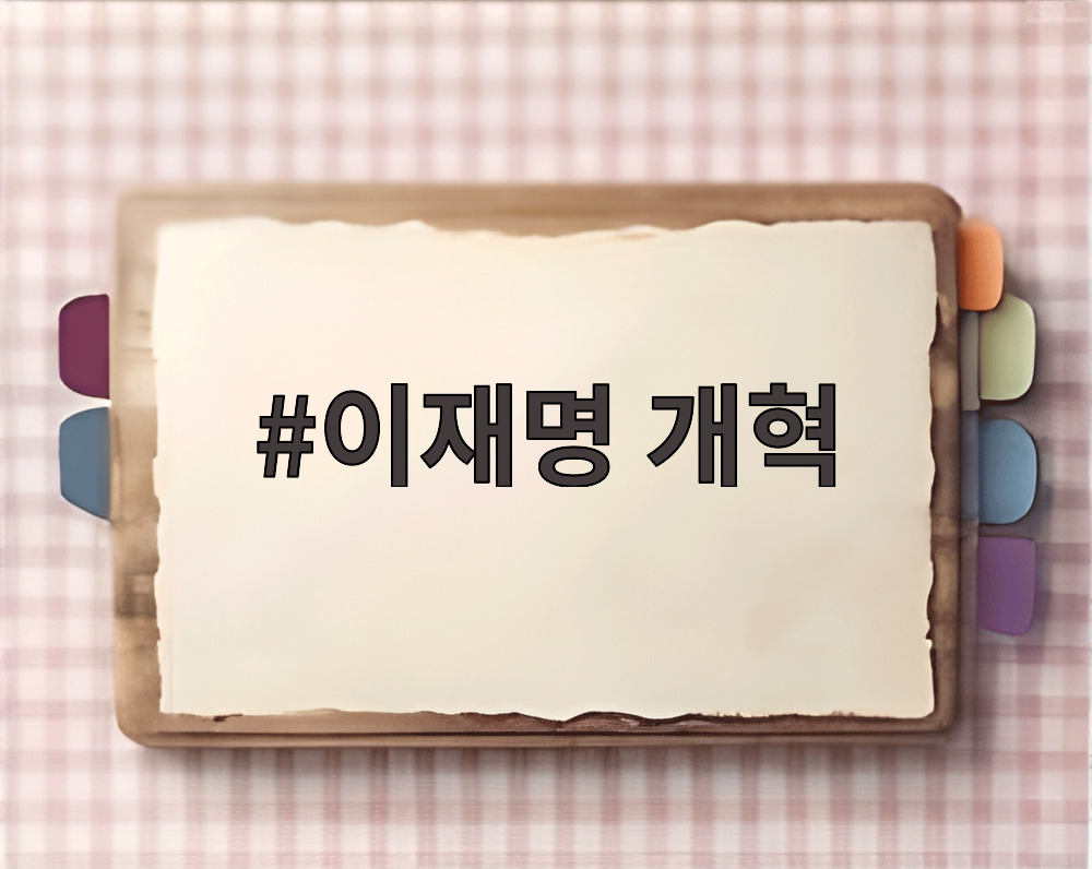이재명 개혁