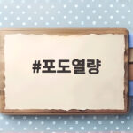 포도열량 정확히 알고 다이어트에 활용하는 법 포도열량