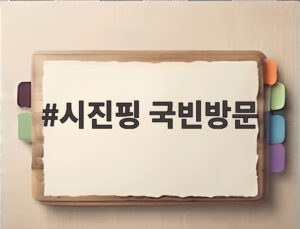 시진핑 국빈방문