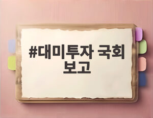 대미투자 국회 보고