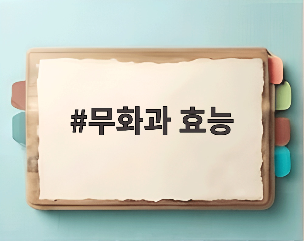 무화과 효능