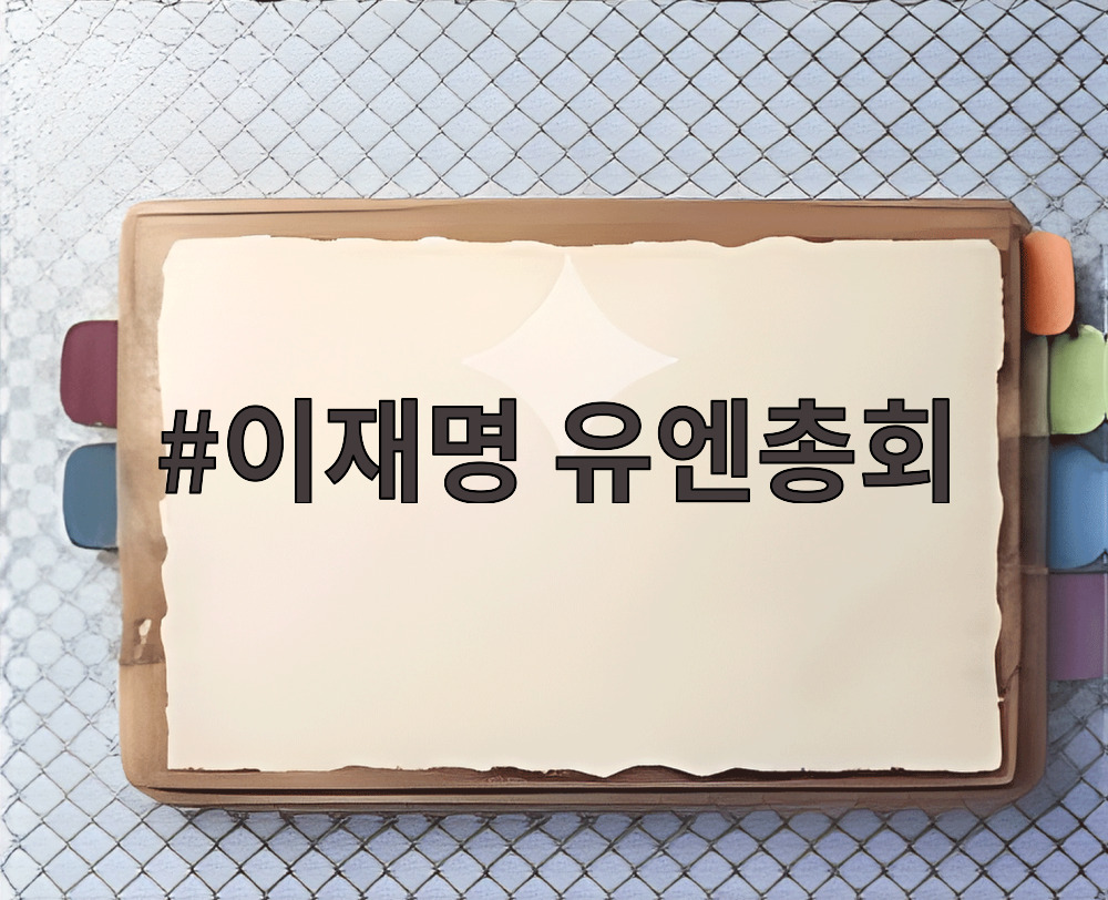 이재명 유엔총회