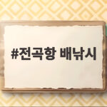 전곡항 배낚시 초보도 손맛 볼 수 있는 쭈꾸미 출조 준비와 물때 선택 전곡항 배낚시