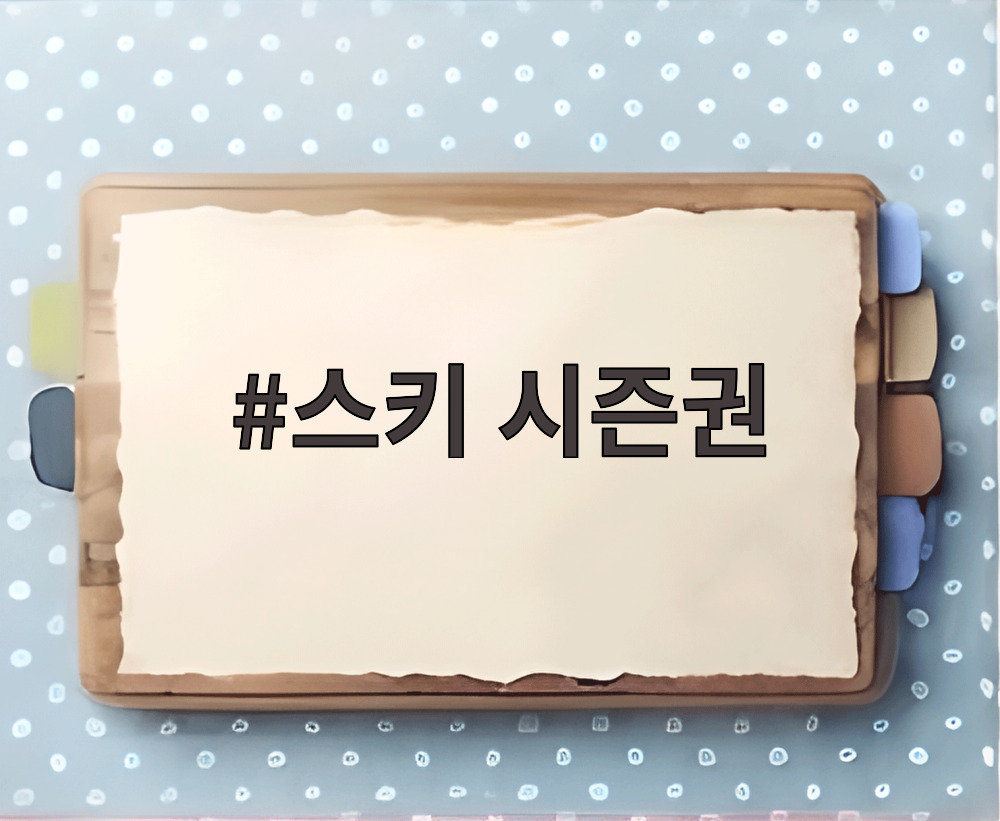 스키 시즌권