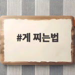 게 찌는법