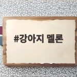 강아지 멜론 급여 방법과 주의사항 꼭 확인하세요 강아지 멜론