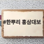 한뿌리 홍삼대보 부모님 선물로 좋은 이유와 내가 먹어본 후기 한뿌리 홍삼대보