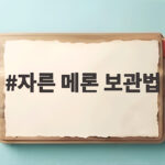 자른 메론 보관법 이렇게 하면 시원하고 달게 오래 먹을 수 있어요 자른 메론 보관법