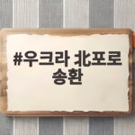 우크라 北포로 송환 두 청년 한국 도착한 숨은 이야기 우크라 北포로 송환